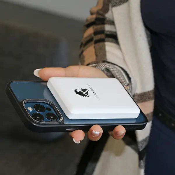 LionEnergy|Lion Claw - EcoPowerit