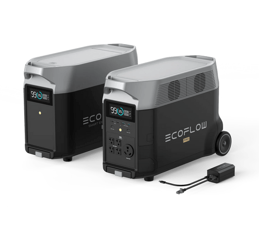 EcoFlow|Portable RV & EV Power with EcoFlow DELTA Pro: EcoFlow DELTA Pro + Grounding Adapter - EcoPowerit