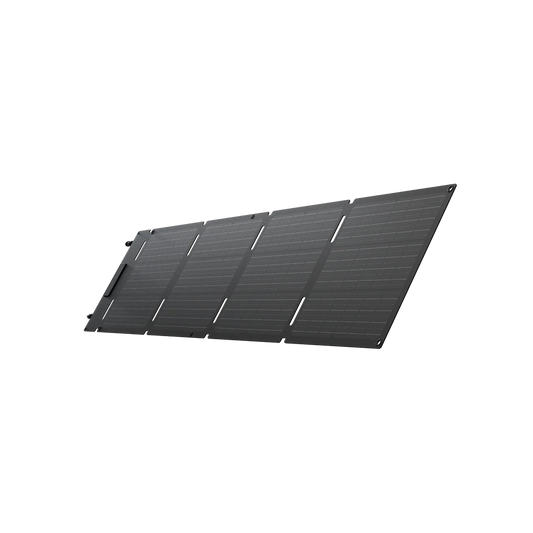 EcoFlow 60W Portable Solar Panel