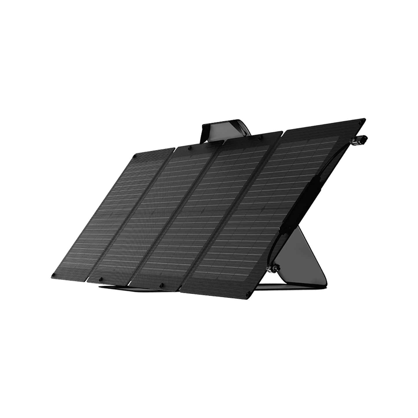 EcoFlow| DELTA 2 Solar Generator (PV110W) - EcoPowerit