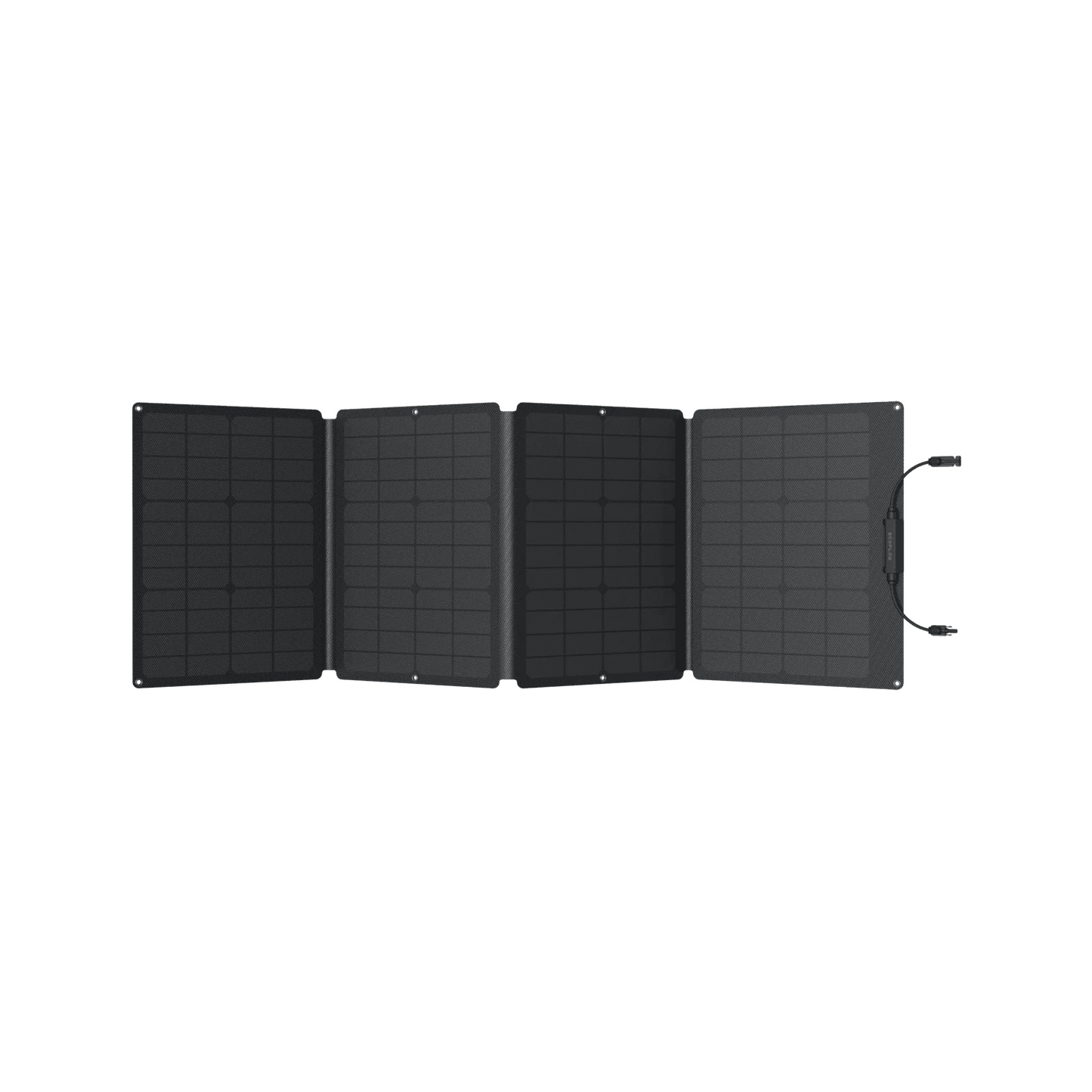 EcoFlow| DELTA 2 Solar Generator (PV110W) - EcoPowerit