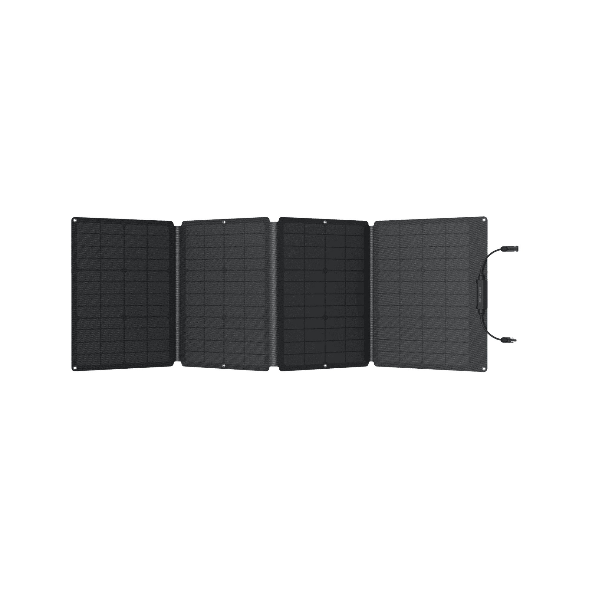 EcoFlow| DELTA 2 Solar Generator (PV110W) - EcoPowerit