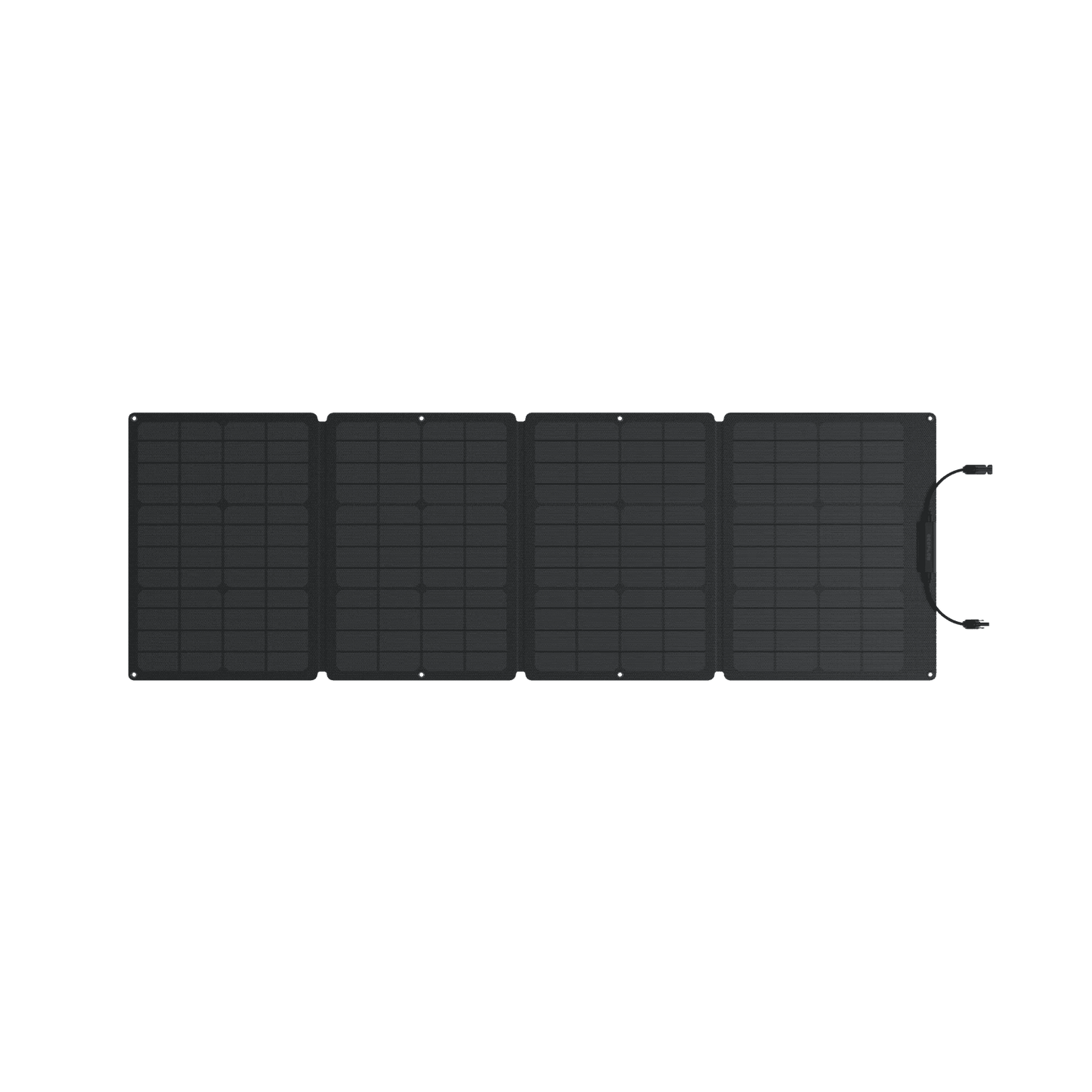 EcoFlow| DELTA 2 Solar Generator (PV110W) - EcoPowerit
