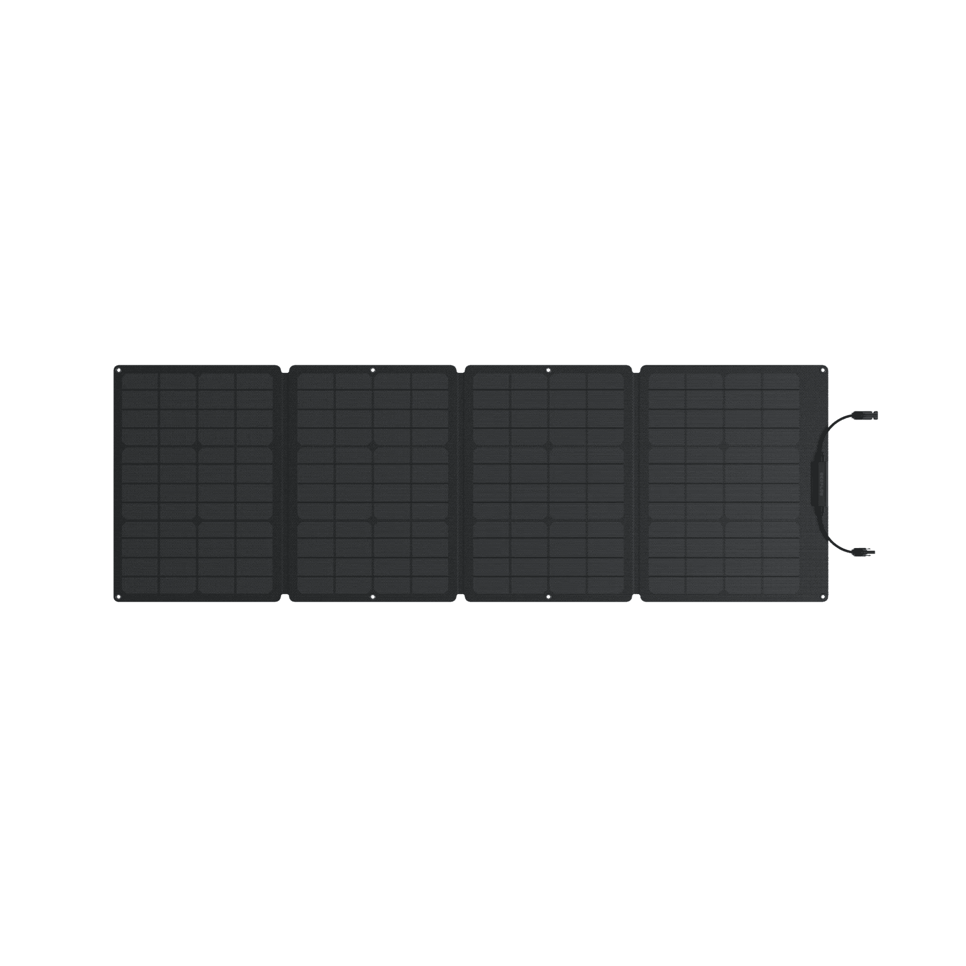 EcoFlow| DELTA 2 Solar Generator (PV110W) - EcoPowerit