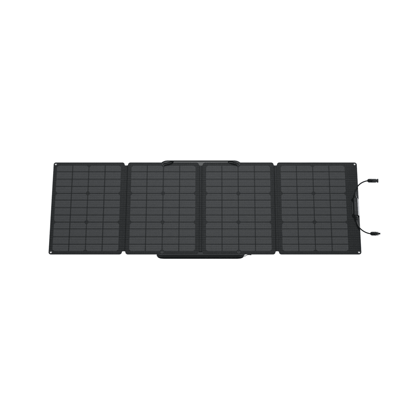EcoFlow| DELTA 2 Solar Generator (PV110W) - EcoPowerit