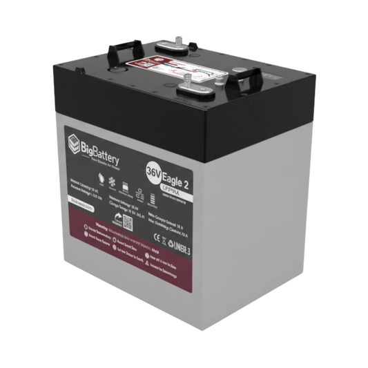 BigBattery 36V EAGLE 2 LiFePO₄ Battery (1.54kWh) with Heater & CANBus