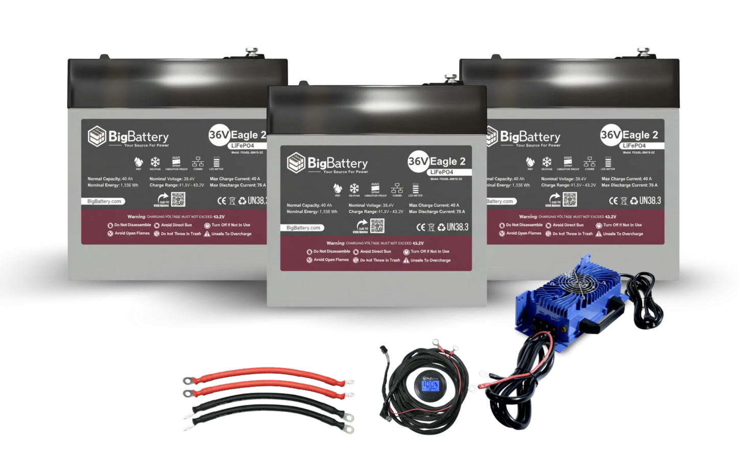 BigBattery 36V EAGLE 2 | 3.08kWh-6.16kWh) LiFePO₄ Battery Pro Kit
