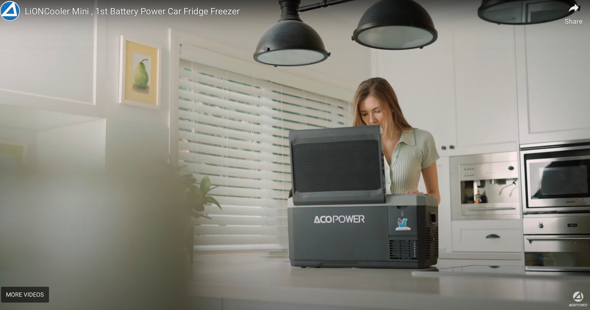 Load video: LiONCooler Mini , 1st Battery Power Car Fridge Freezer