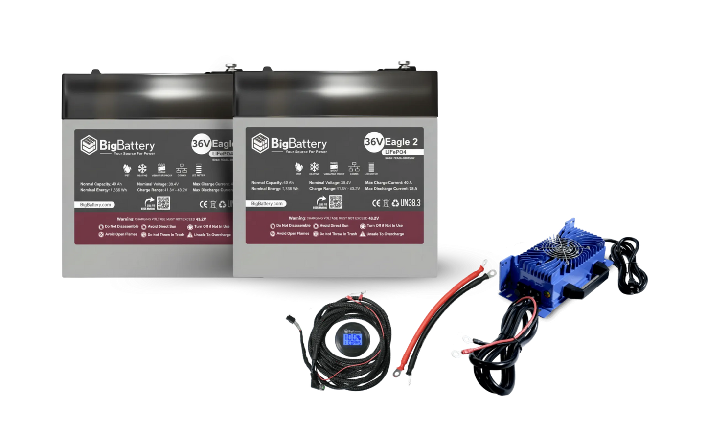 BigBattery 36V EAGLE 2 | 3.08kWh-6.16kWh) LiFePO₄ Battery Pro Kit