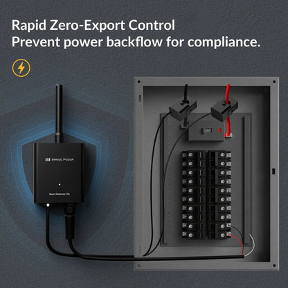 Mango Power S 120V 1200W Plug-In Solar Kit with Zero-Export Gateway