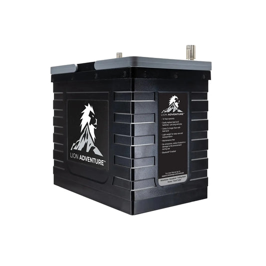 LionEnergy Lion Adventure BT Battery