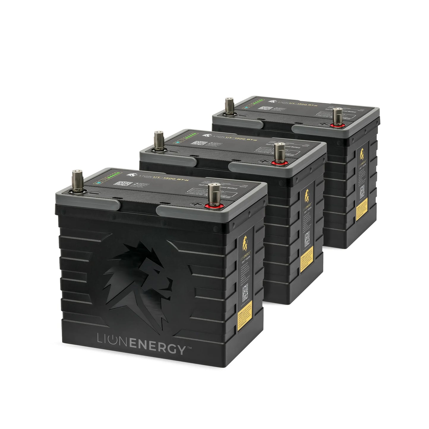 LionEnergy UT 1300 BT-H Bundle