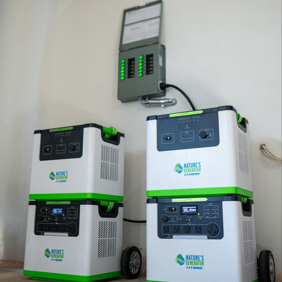 Nature's Generator 12-Circuit 120/240V 30A Non-Automatic Transfer Switch