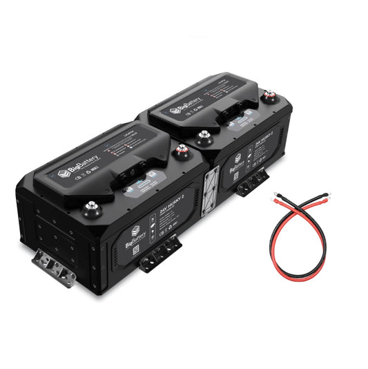 BigBattery| 2*24V HUSKY 2 Kit