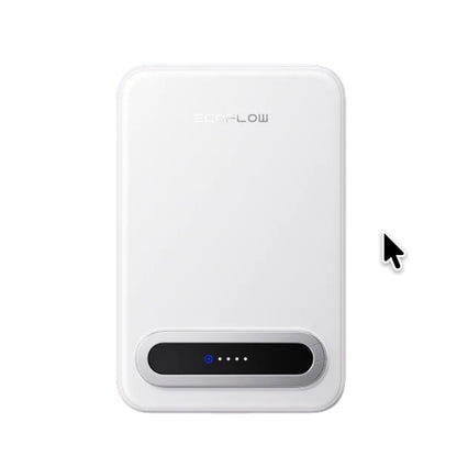EcoFlow RAPID Mag Qi2 Magnetic Power Bank (10,000mAh, 15W)