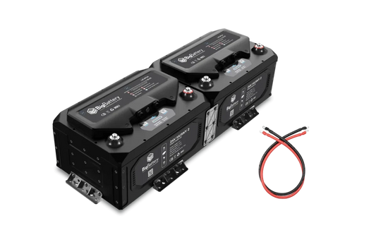 BigBattery 24V HUSKY 2 INV Kits-EcoPowerit