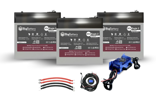 BigBattery 36V EAGLE 2 | 3.08kWh-6.16kWh) LiFePO₄ Battery Standard Kit-EcoPowerit