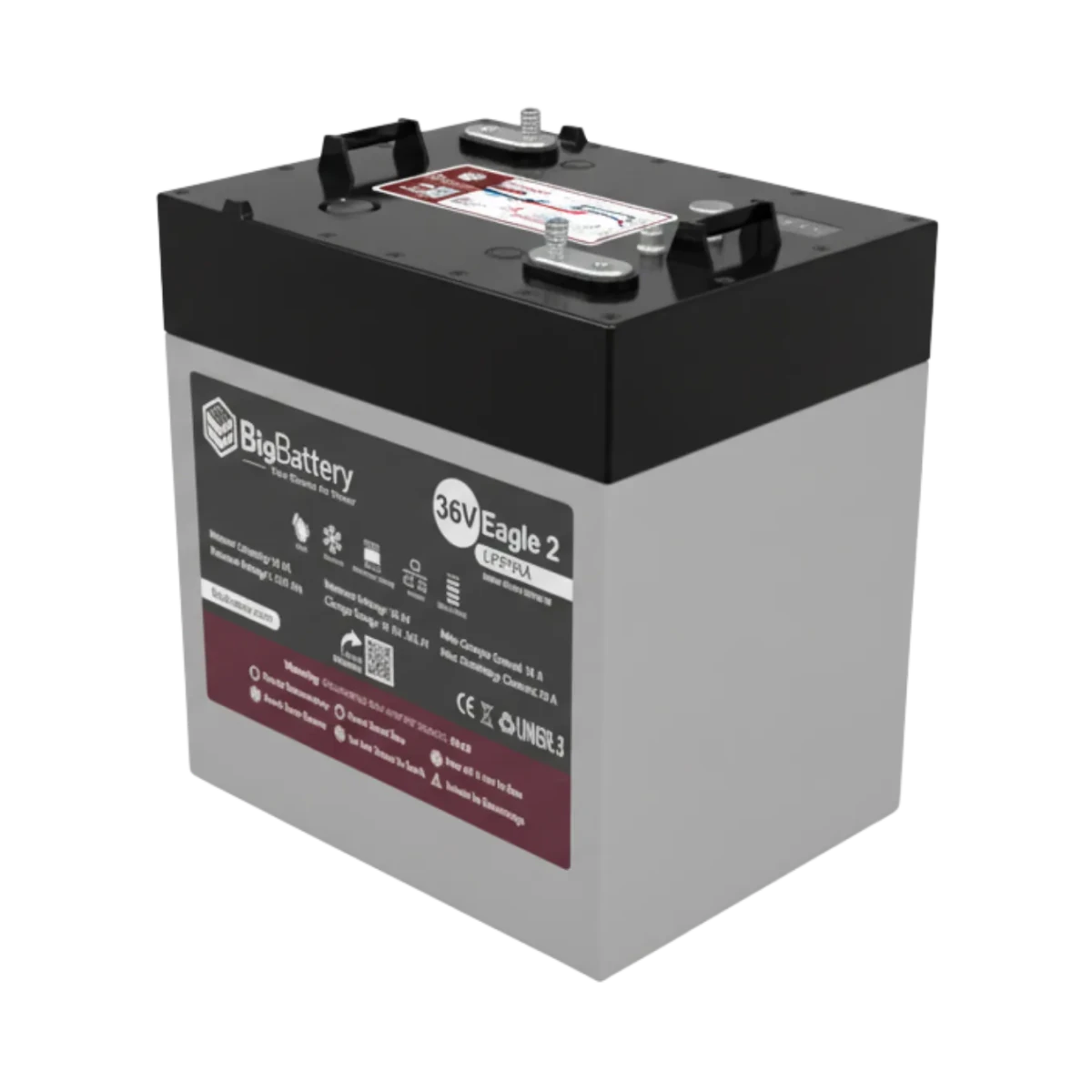 BigBattery 36V EAGLE 2 | 3.08kWh-6.16kWh) LiFePO₄ Battery Ultimate Kit-EcoPowerit