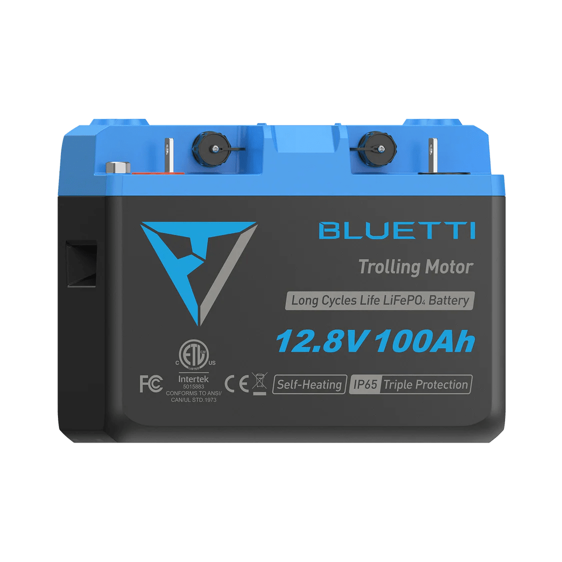 BLUETTI B1232 LiFePO₄ Battery | 12.8 V, 314 Ah-EcoPowerit