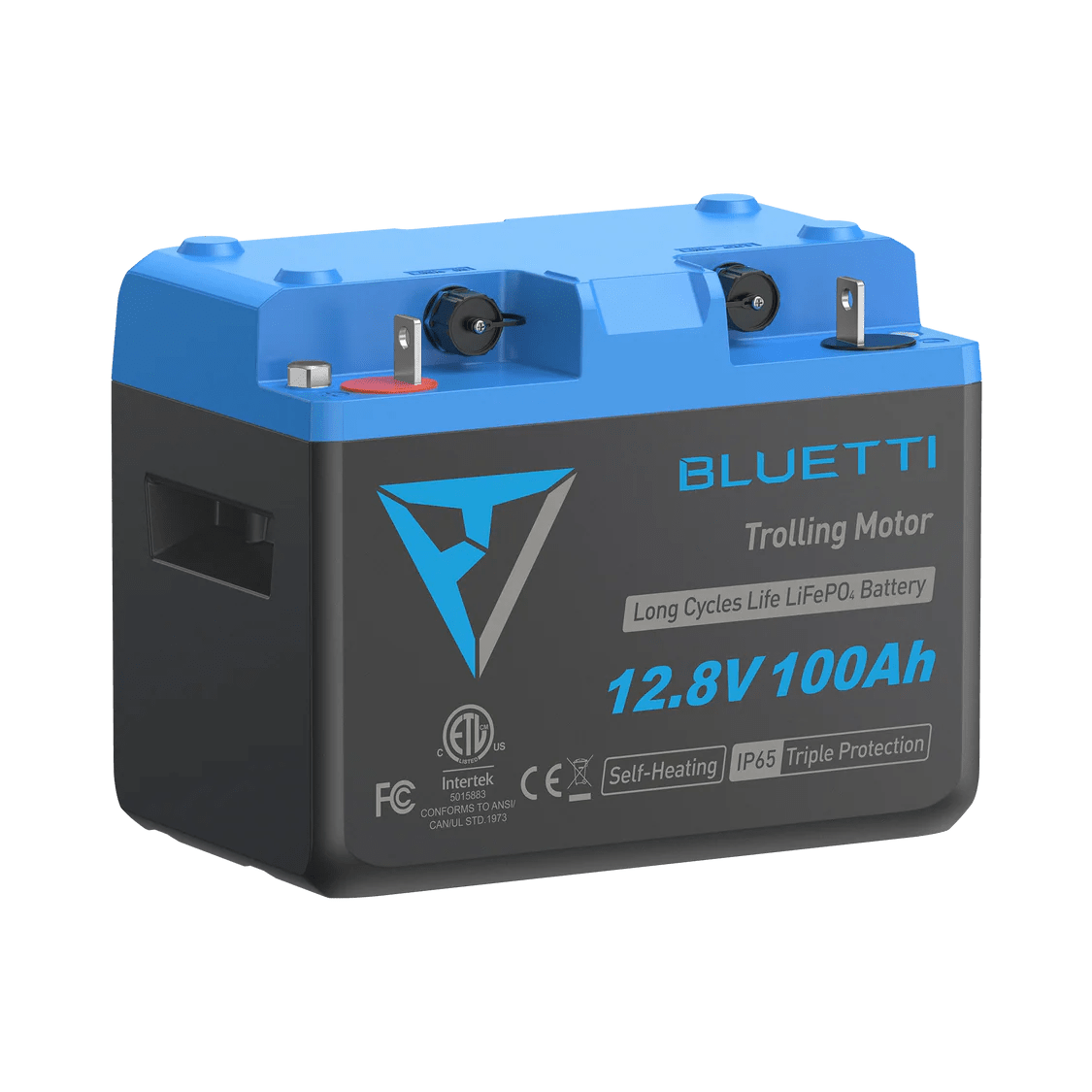 BLUETTI B1232 LiFePO₄ Battery | 12.8 V, 314 Ah-EcoPowerit