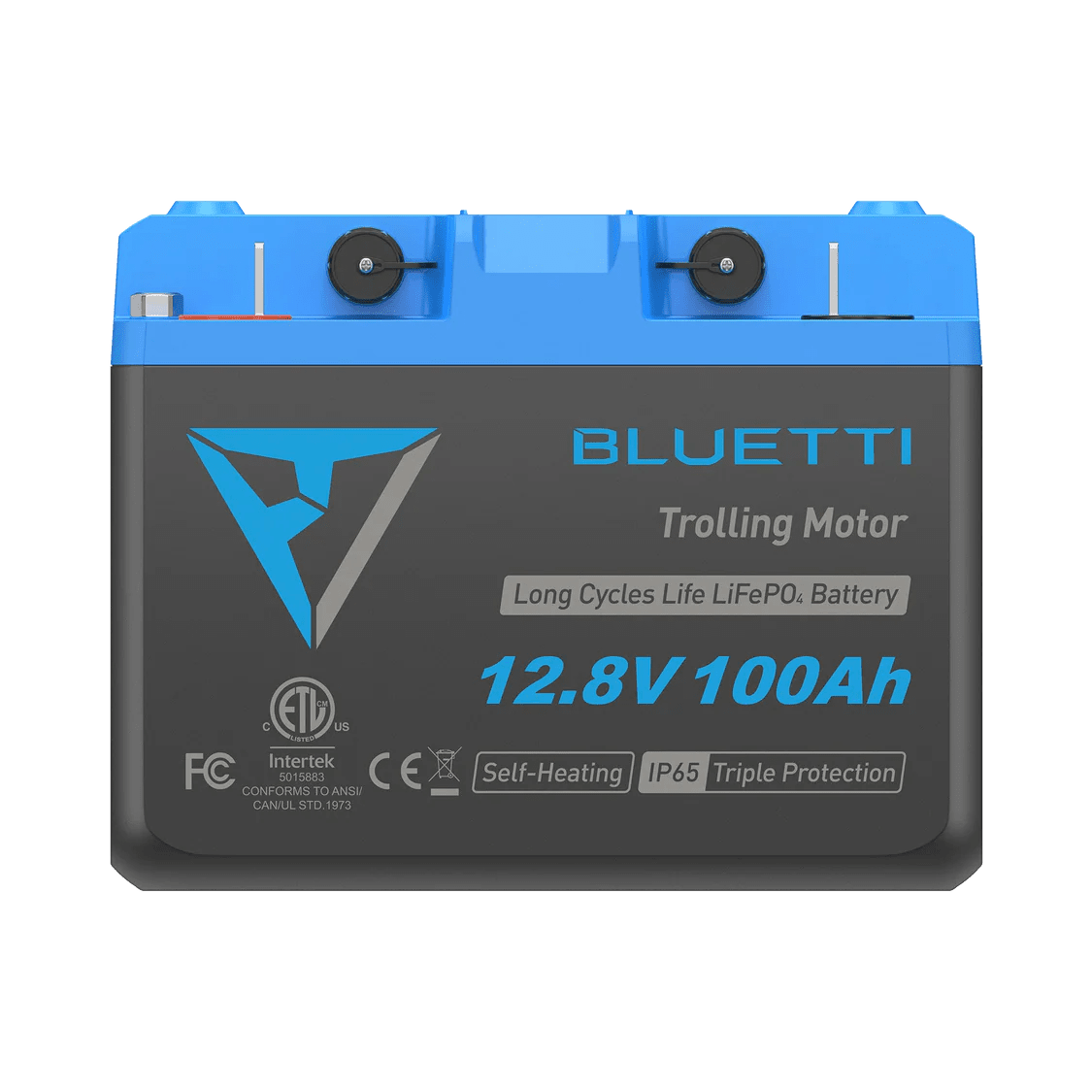 BLUETTI B1232 LiFePO₄ Battery | 12.8 V, 314 Ah-EcoPowerit