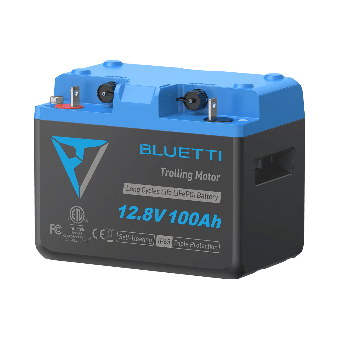 BLUETTI B1232 LiFePO₄ Battery | 12.8 V, 314 Ah-EcoPowerit