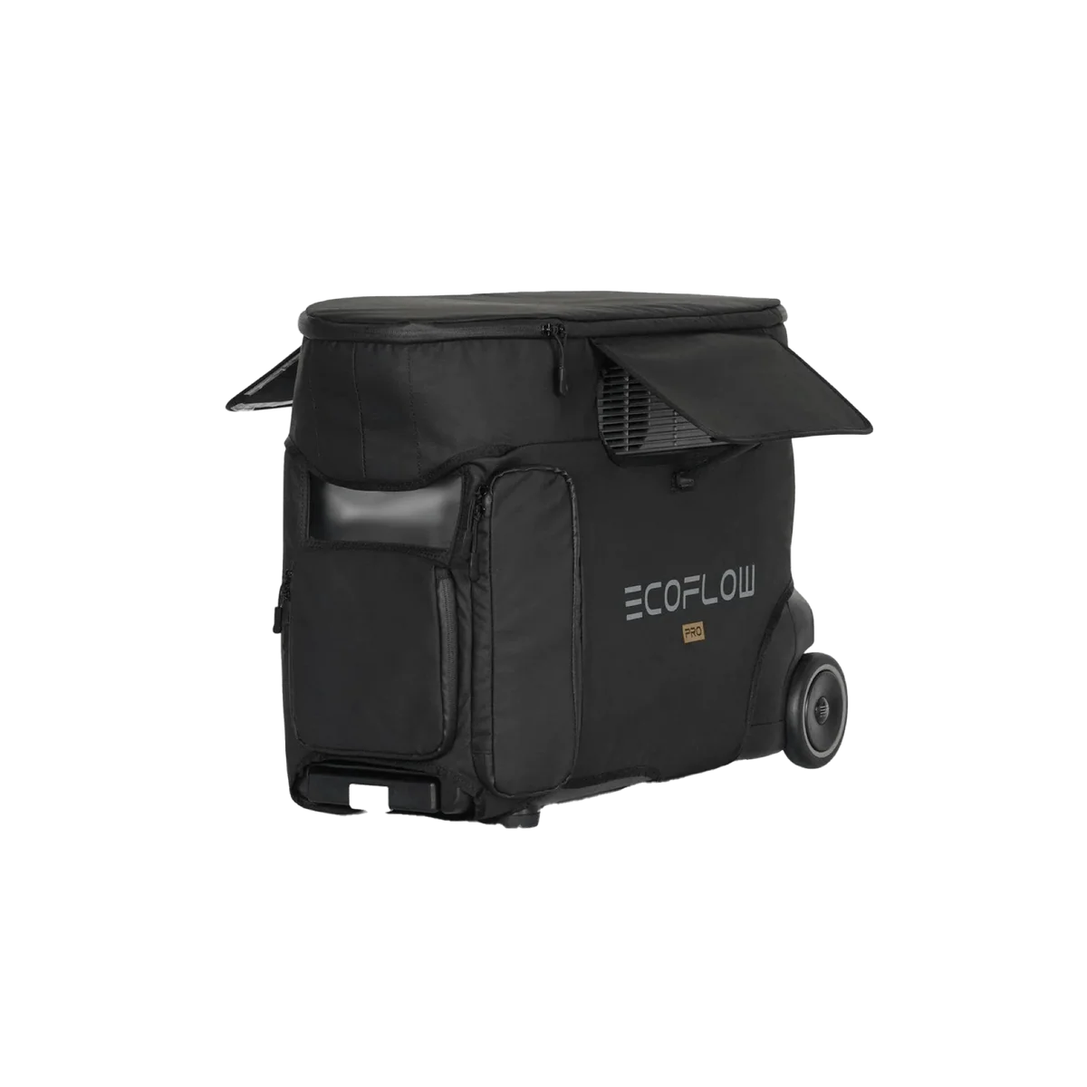 EcoFlow DELTA Pro Bag