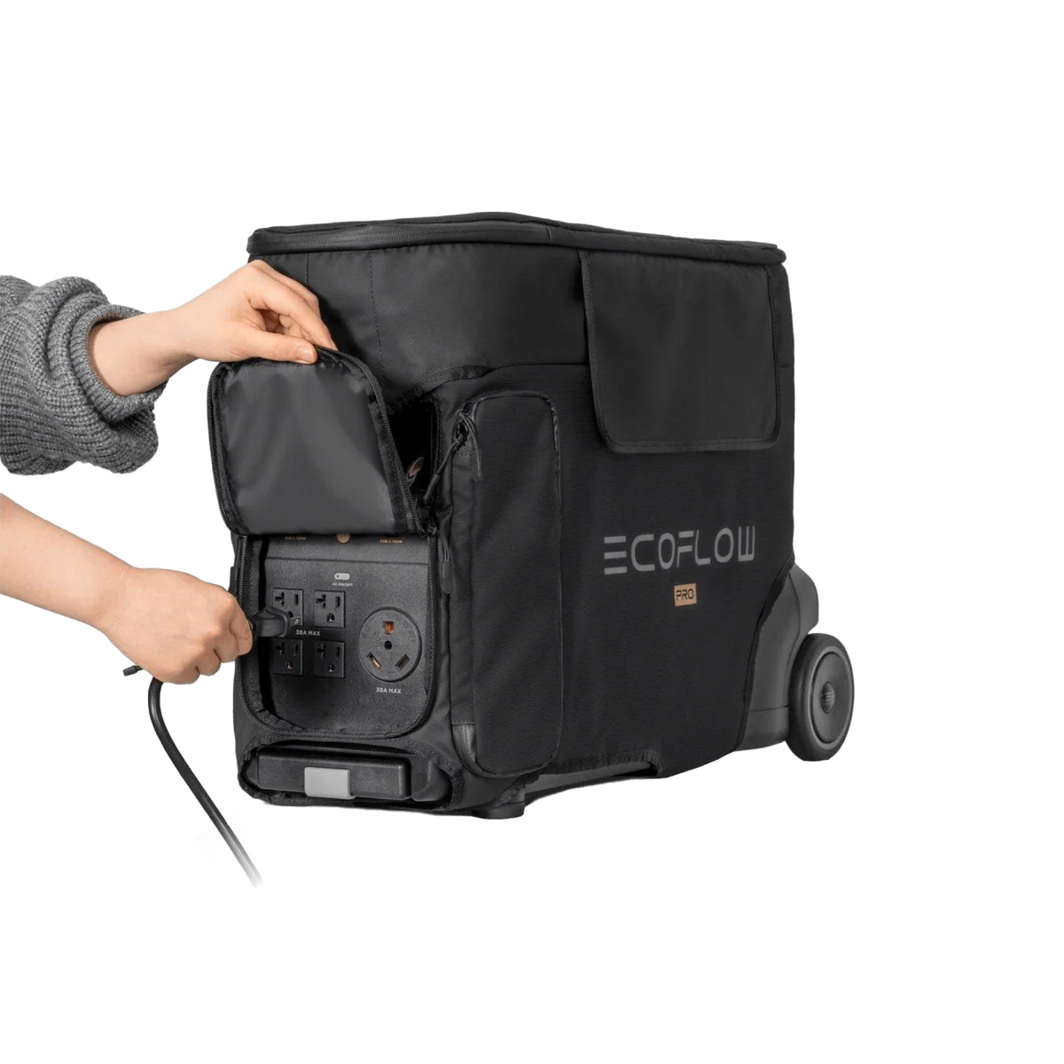 EcoFlow DELTA Pro Bag