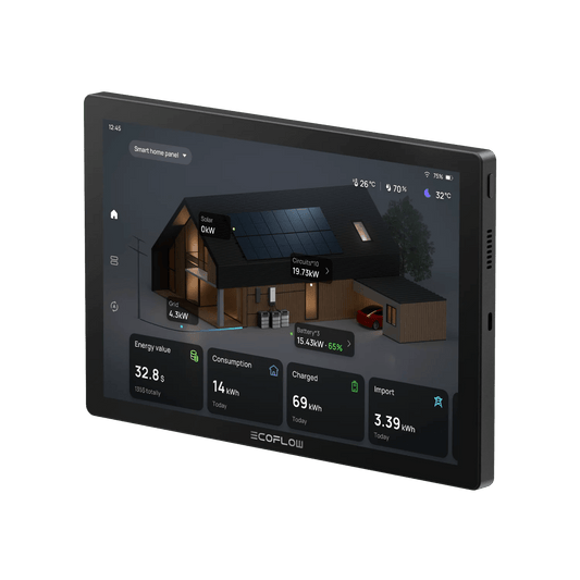 EcoFlow| PowerInsight - EcoPowerit