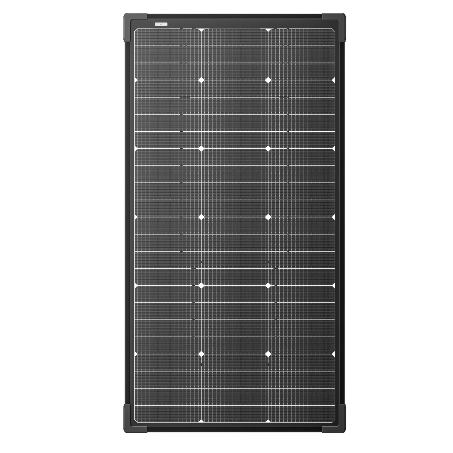 EcoFlow 125W Bifacial Modular Solar Panel