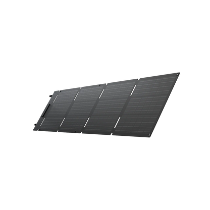 EcoFlow 60W Portable Solar Panel