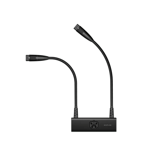 EcoFlow Double Voltage Hub (DELTA Pro)-EcoPowerit