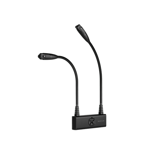 EcoFlow Double Voltage Hub (DELTA Pro)-EcoPowerit