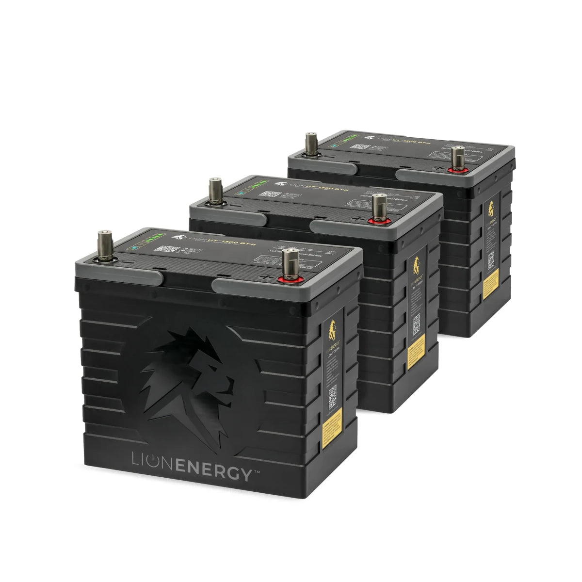 LionEnergy UT 1300 BT-H Bundle-EcoPowerit