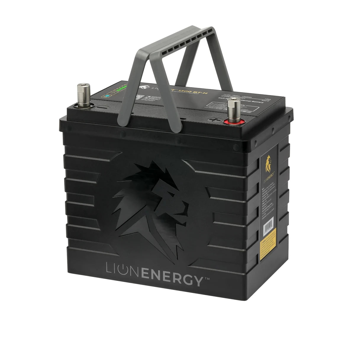 LionEnergy UT 1300 BT-H Bundle-EcoPowerit
