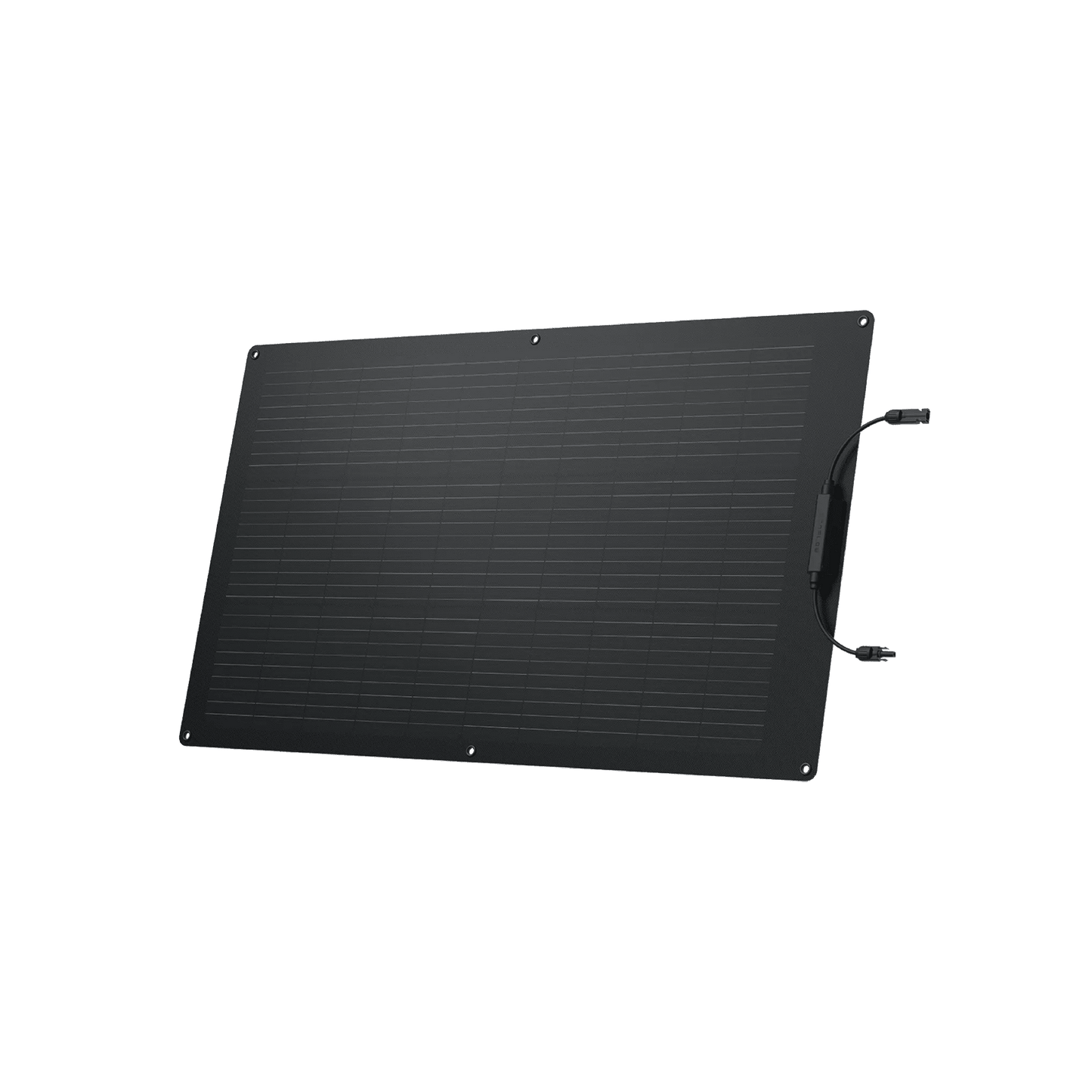 EcoFlow|100W Flexible Solar Panel-EcoPowerit