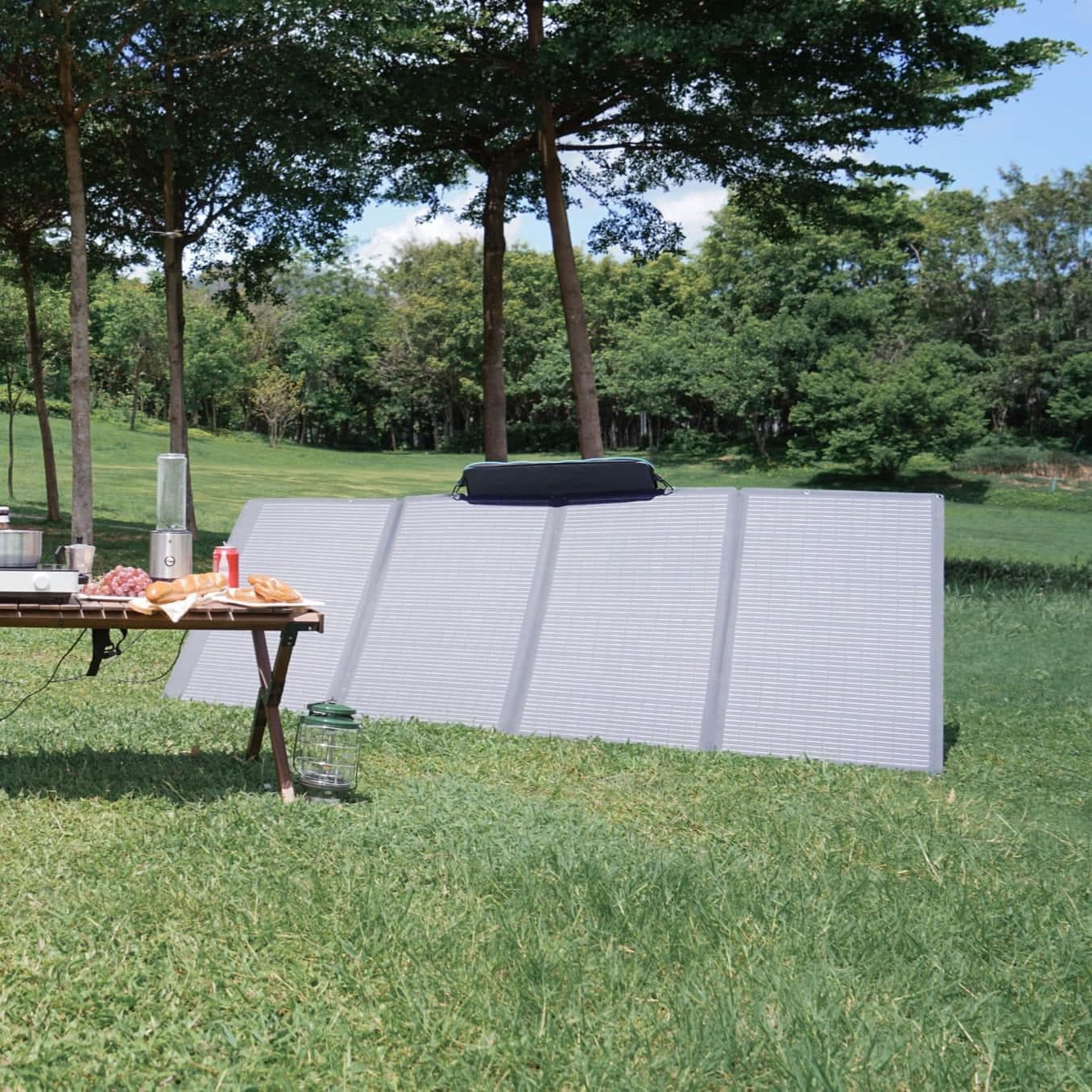 EcoFlow|DELTA 2 Power Station + 110W Portable Solar Panel Bundle-EcoPowerit