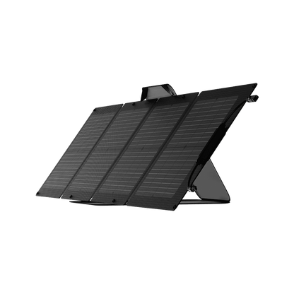 EcoFlow| DELTA 2 Solar Generator (PV110W) - EcoPowerit