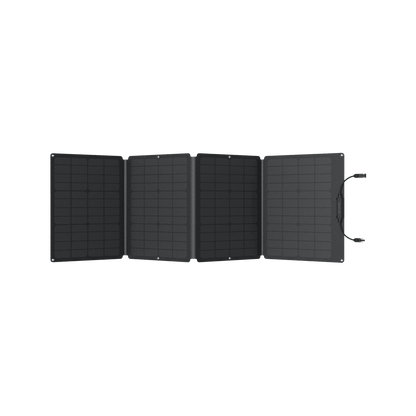 EcoFlow| DELTA 2 Solar Generator (PV110W) - EcoPowerit