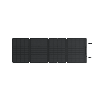 EcoFlow| DELTA 2 Solar Generator (PV110W) - EcoPowerit