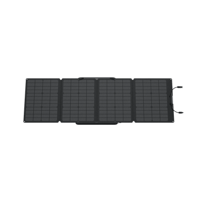 EcoFlow| DELTA 2 Solar Generator (PV110W) - EcoPowerit