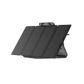 EcoFlow|DELTA 2 Power Station + 160W Portable Solar Panel Bundle-EcoPowerit