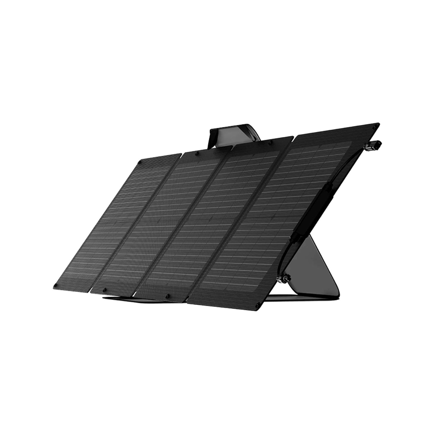 EcoFlow|DELTA MAX 2-6kWh + 160W Portable Solar Panel Bundle-EcoPowerit